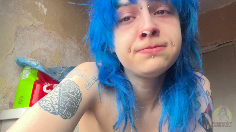Alice Bean: Honks on the Toilet