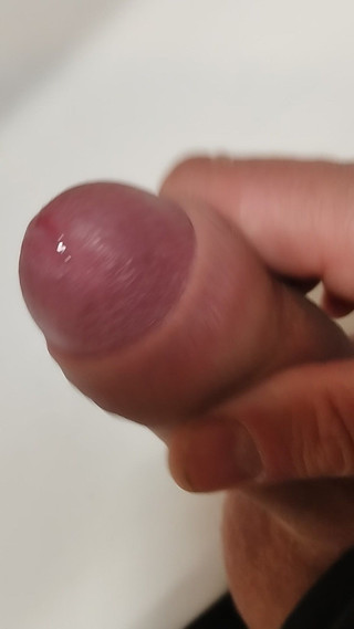 Bayer911: Pouze předkrm