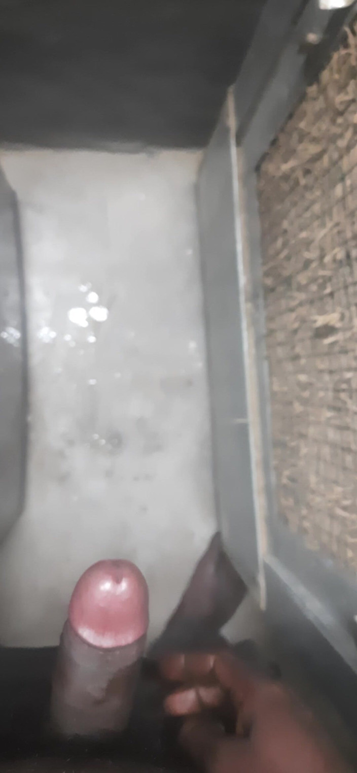 JoyfulPaw60: Dziś się masturbowałem.