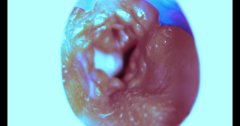 SEXY_GUYBEST: 我是如何从内部操的！相机里面！