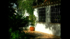 FM Video VOD: Monique covet di: kisah pelacur di Karibia 