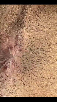 Do You Like My Ass?