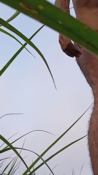 VID_20250717_061433.mp4