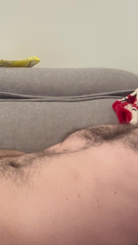 Honění na gauči