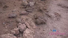 Lola抽烟并抚摸大鸡巴