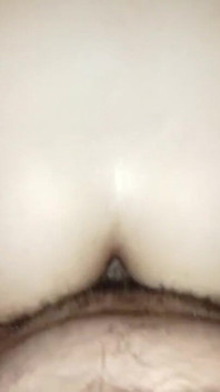 아마추어 애널