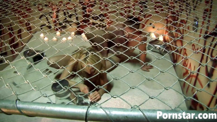 Pornstars: Kelly Wells follada anal mientras chupa la polla del gloryhole