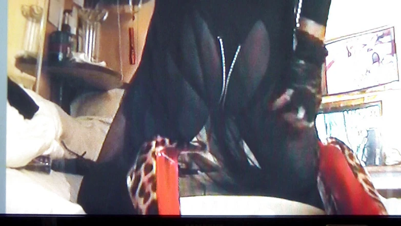 Dee Angels: 薄手の黒いシルクのルーブとヒョウ