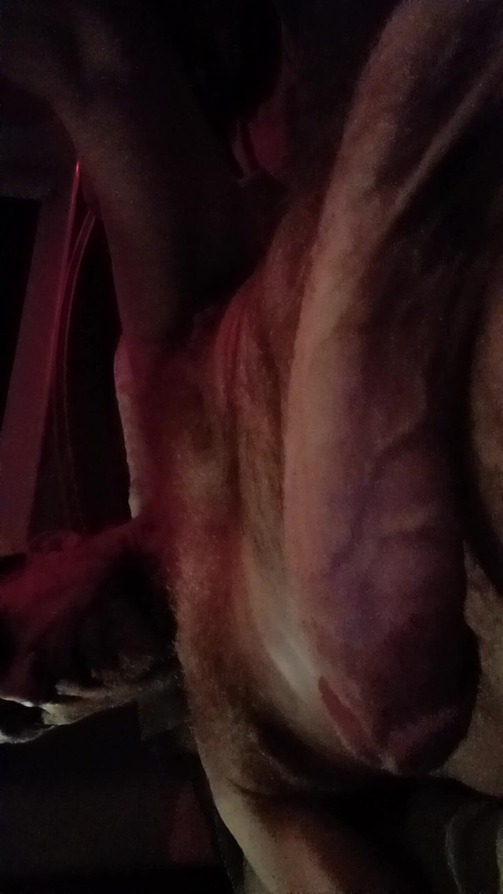 Hairyartist: このチンコが欲しいなら静かにしてね