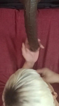 ATM Lengkung Doggy Bee