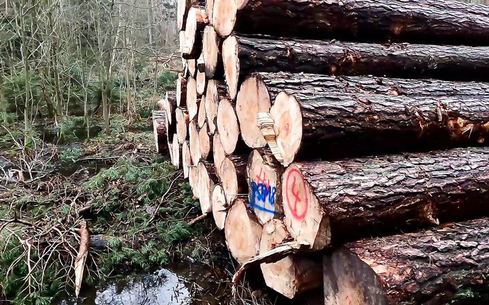 Bouncy Tits Action: Kwetsende poesjeslipjes trekken in het bos