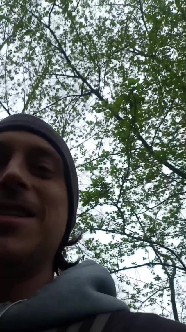 In the Nature #1 (Mr Burtzel) In the Nature #1 (Mr Burtzel)