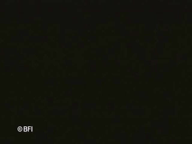 Bizzar hardcore party: Pelatihan payudara besar