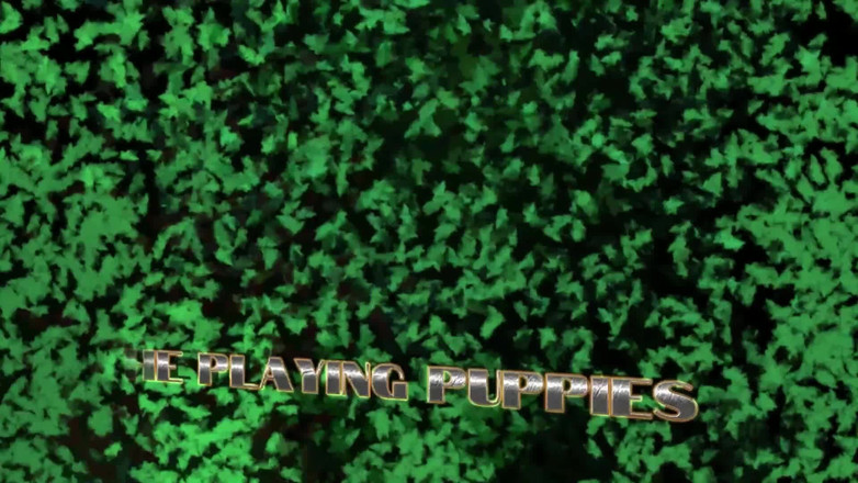 The Playing Puppies: 흑인 대물 자지에게 따먹히는 핫한 금발 밀프