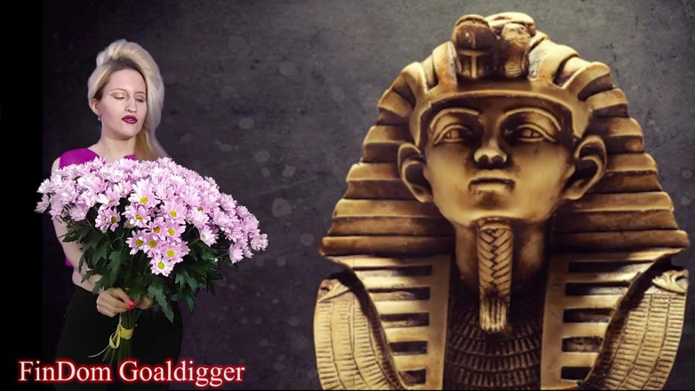 FinDom Goaldigger: VIP loserpaypig 许可