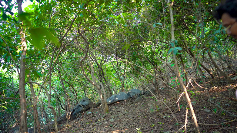 Babt Tina: Měl hardcore sex s kamarádovou přítelkyní v lese