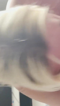 BBW-blowjob
