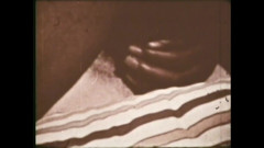 The Unforgettable: Das Wilde Hengstfohlen