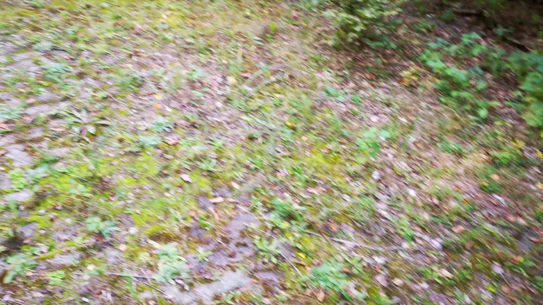 Bouncy Tits Action: Duras bofetadas en la escalera en el bosque