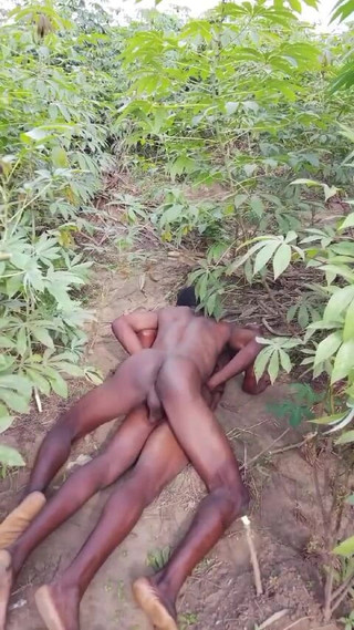 Sexydaddy: İki Afrikalı herdsmen çalıda seks yapıyor