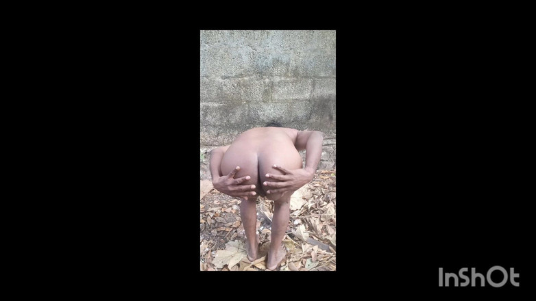 shapemodel: Succosa desi vista dietro forma completa