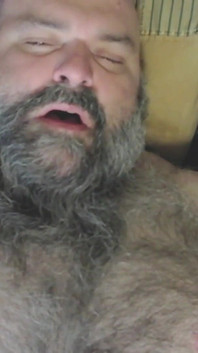 Chlupatý medvěd vystoupí.