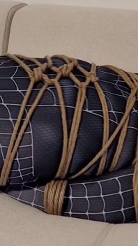 Spider-man Has Been Captured