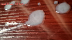 LolaCD: Sc002 - Samo-sperma 24h, 0,5h