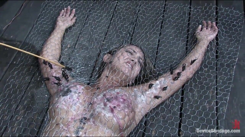 Device Bondage by Kink: Penned in