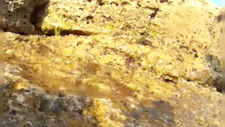 Risky Hairy Couple: I Was Fishing Underwater but Instead of Fish Met Sexy...