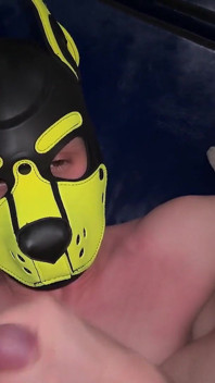 Pasangan puppy di sauna gay