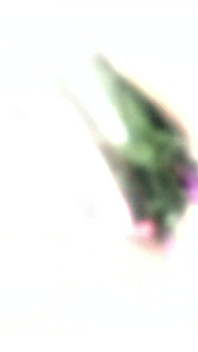 Masturbating in bathroom with her vibrator