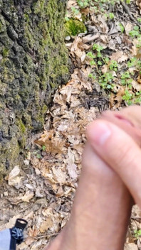 Outdoor Piss, Wank and Cum