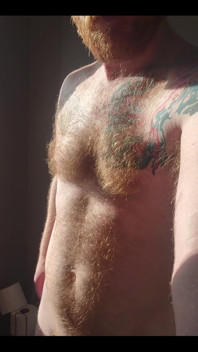 Morning Sun