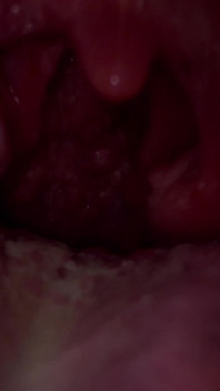 Mouth Tour 4K