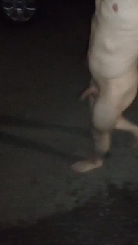 Walking Naked on the Street