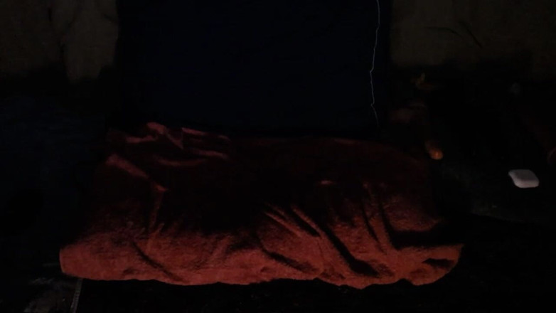 Steelwood vids: Steelwoodvids直播表演 第1部分