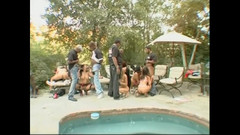 FM Video VOD: 가슴과 너머의 흑인!