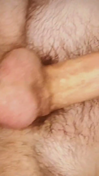Will You Suck My Hairy Balls?