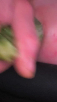 I Love Vegetables in My Ass