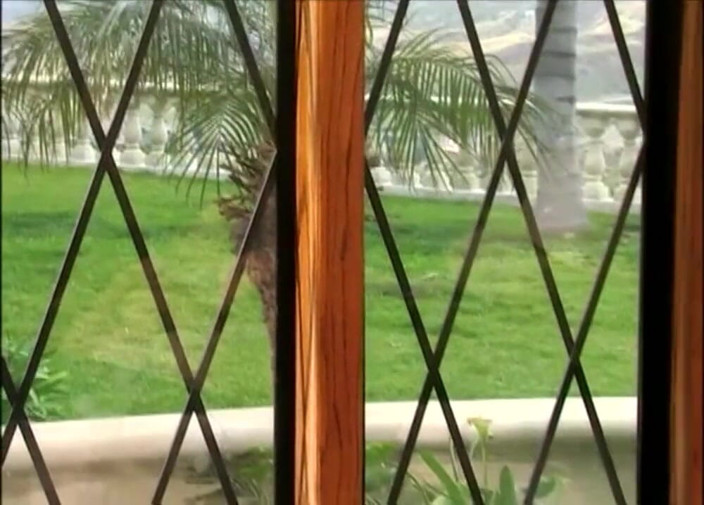 Young Sinner: A very big cock for a wild little slut