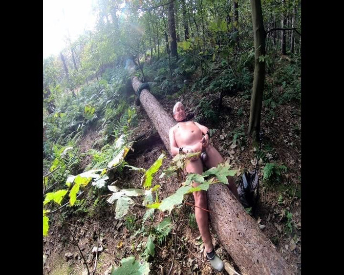 Andy: Log पर लंड हिलाना
