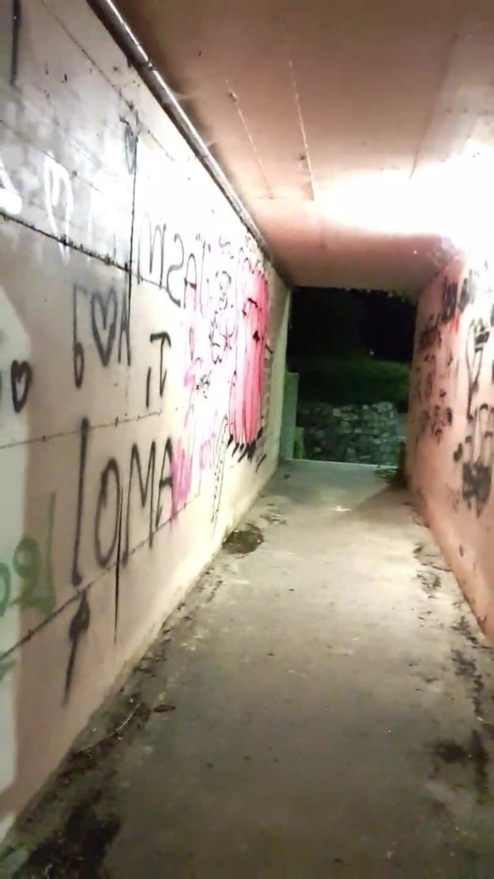 Slutboyben: Slutboyben cam4 seksi seyir piliç ii