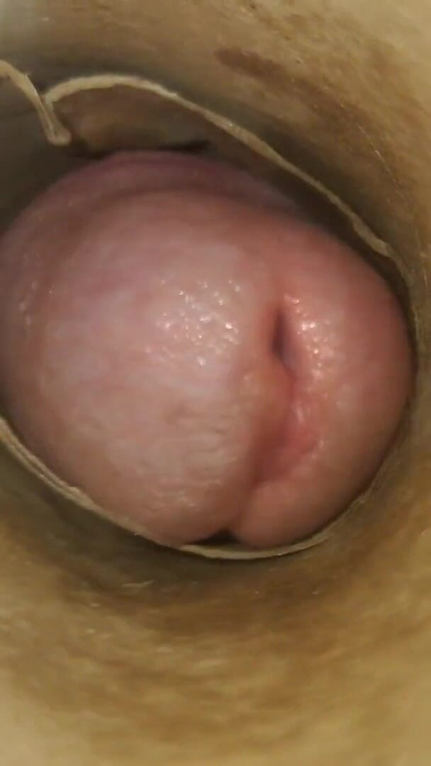 POV: Cummin' Inside of You (Esteban Williams)