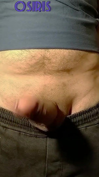 Opravdu chci dát svého ptáka do tvých úst