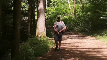 Monster_Meat_: Into the woods...