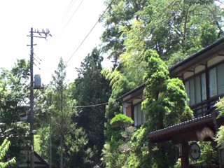 Vulture: Bir kaplıca gezisi, üvey annem ve ben yalnız... Cilt 3