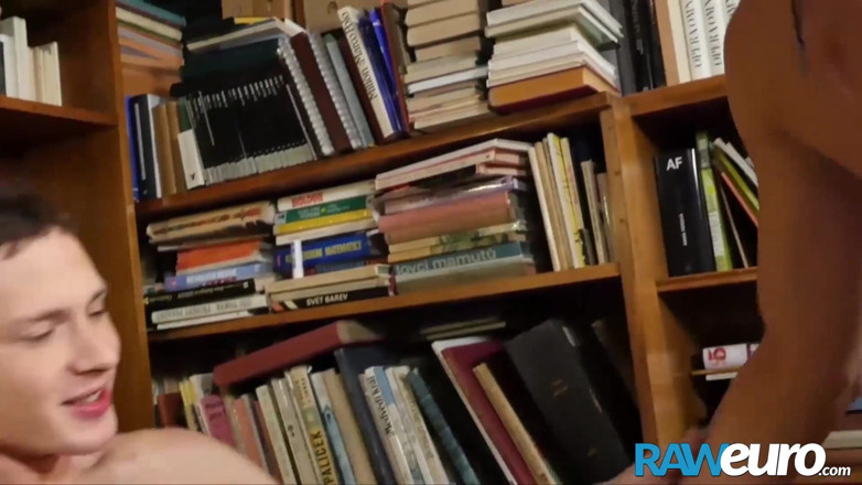 Raw Euro: Biblioteksföreläsning