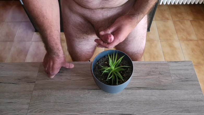 Cicci77: Cicci77 füttert ihre pflanzen mit pinkeln und sperma, um sie üppig...