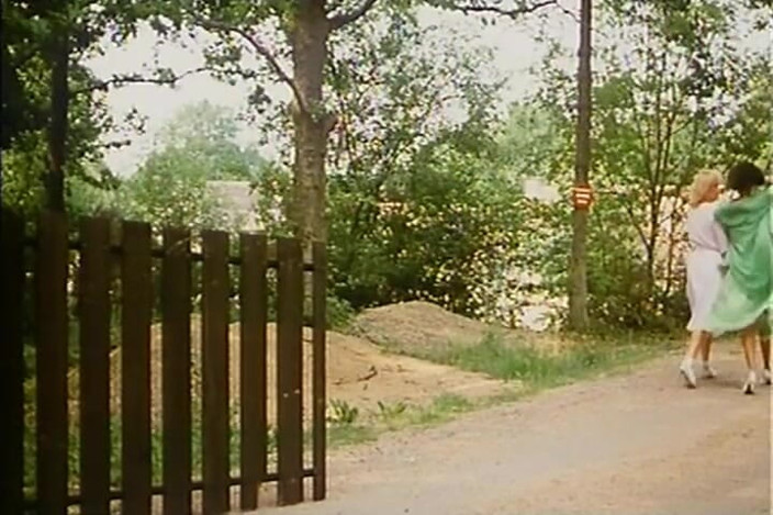 Euro Blue Movies: Forbidden Pleasures (1986)